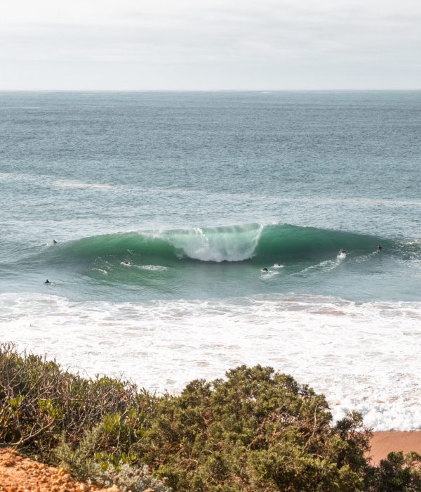 Beliche copy